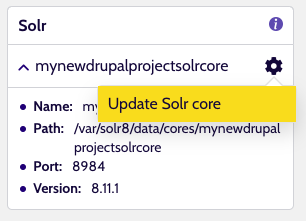 Solr service action: update Solr config